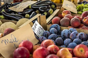 Europe, Italy, Piedmont. Fruits at the market Europe, Italy, Piedmont. Fruits at the market