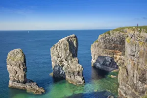 Europe, United Kingdom, Wales, Pembrokeshire, Elegug Stack in Pembrokeshire Coast Europe, United Kingdom, Wales, Pembrokeshire, Elegug Stack in Pembrokeshire Coast