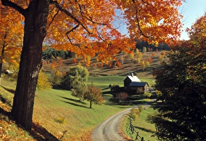 Images Dated 2008: Vermont Fall Foliage Print