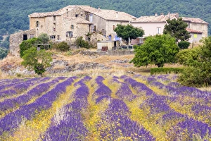 A farmhouse near Banon, Provence, France A farmhouse near Banon, Provence, France