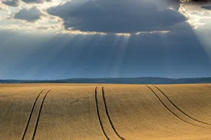 Field with crops and dramatic sky near Vrbice, Breclav District, South Moravian Region Field with crops and dramatic sky near Vrbice, Breclav District, South Moravian Region