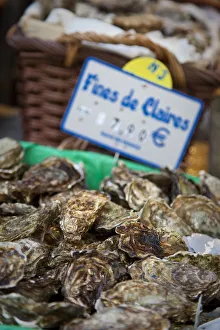 Fines de Claire oysters in market, Rue Mouffetard, Latin Quarter, Paris, France Fines de Claire oysters in market, Rue Mouffetard, Latin Quarter, Paris, France