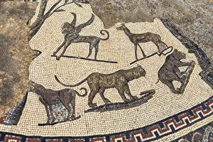 Floor mosaic, Roman ruins, Volubilis, Morocco Floor mosaic, Roman ruins, Volubilis, Morocco