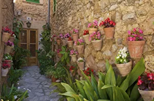 Floral Decoration on Facades, Valldemossa, Valldemosa, Majorca, Balearics, Spain Floral Decoration on Facades, Valldemossa, Valldemosa, Majorca, Balearics, Spain