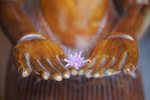 Detail of flower on statues hands in Pilgrimage Village hotel, Hue, Thua Thien-Hue Detail of flower on statues hands in Pilgrimage Village hotel, Hue, Thua Thien-Hue