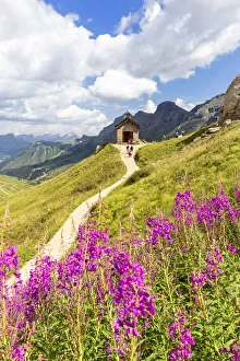 Flowering at Pordoi Pass Chapel. Pordoi Pass, Fassa Valley, Trentino, Dolomites, Italy Flowering at Pordoi Pass Chapel. Pordoi Pass, Fassa Valley, Trentino, Dolomites, Italy