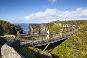 Footbridge to viewing platform, Punakaiki, West Coast, South Island, New Zealand Footbridge to viewing platform, Punakaiki, West Coast, South Island, New Zealand