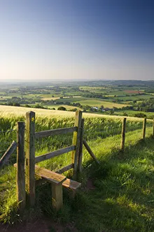 Devon Countryside Prints: Footpath and style through fields, Raddon Hill, Mid Devon, England. Summer (July) 2009