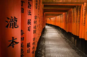 Foreshortening of Fushimi Inari-taisha Temple Print