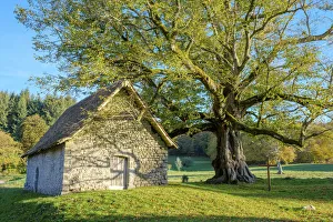 France, Nouvelle-Aquitaine, La Creuse, Saint-Sulpice-le-Dunois. La Chapelle du Mas St France, Nouvelle-Aquitaine, La Creuse, Saint-Sulpice-le-Dunois. La Chapelle du Mas St