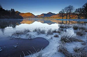 Frost Along Derwent Water, Lake District National Park, Cumbria, England Frost Along Derwent Water, Lake District National Park, Cumbria, England