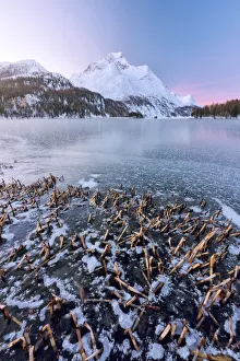 the frozen lake of Sils photographed on a cold winter morning, Engadine the frozen lake of Sils photographed on a cold winter morning, Engadine
