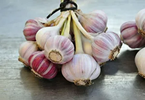 Images Dated 2011 August: Garlic Garlic Print
