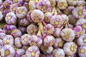 Garlic bulbs for sale at weekly farmers market on Place de la Liberté Garlic bulbs for sale at weekly farmers market on Place de la Liberté