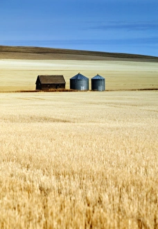 Grain Barn, Rosebud, Alberta, Canada Grain Barn, Rosebud, Alberta, Canada