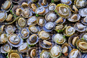 Grilled limpets with garlic, a delicacy. Moledo do Minho, Portugal Grilled limpets with garlic, a delicacy. Moledo do Minho, Portugal