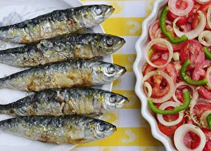 Grilled sardines, a delicacy. Setubal, Portugal Grilled sardines, a delicacy. Setubal, Portugal