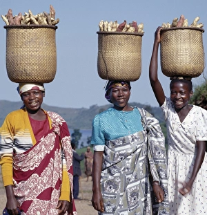 A group of cheerful women carry sweet potatoes to market A group of cheerful women carry sweet potatoes to market