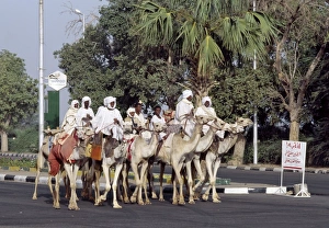 A group of men ride their camels up a main street in Khartoum A group of men ride their camels up a main street in Khartoum