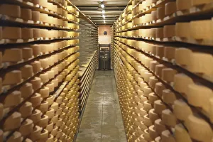 Gruyere cheese in cellar at La Maison du Gruyere, Gruyeres, Fribourg, Switzerland Gruyere cheese in cellar at La Maison du Gruyere, Gruyeres, Fribourg, Switzerland