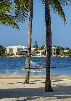 Hammock at North Side, Grand Cayman, Cayman Islands Hammock at North Side, Grand Cayman, Cayman Islands