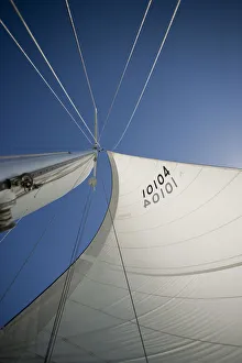 Harvest Moon Regatta, Galveston, Texas, USA Harvest Moon Regatta, Galveston, Texas, USA