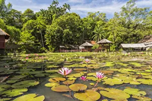Heritage Cultural Village & water lillies, Sabah State Museum, Kota Kinabalu, Sabah Heritage Cultural Village & water lillies, Sabah State Museum, Kota Kinabalu, Sabah