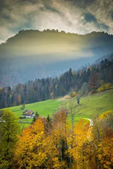 Hillside above lake Lungern, Obwalden, Switzerland Hillside above lake Lungern, Obwalden, Switzerland