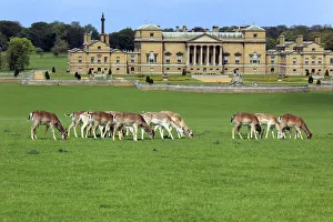 Holkham Hall, Norfolk, England, UK