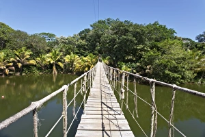 Honduras, Bay Islands, Roatan, Gumba Limba Park Honduras, Bay Islands, Roatan, Gumba Limba Park