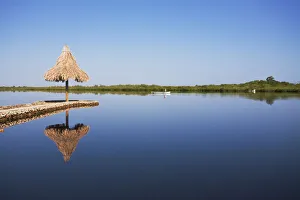 Honduras, Bay Islands, Utila, Oyster bed lagoon Honduras, Bay Islands, Utila, Oyster bed lagoon