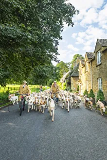 Hounds, Broadway, the Cotswolds, England, UK Hounds, Broadway, the Cotswolds, England, UK