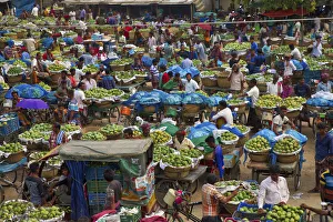 Huge baskets of mangoes are assembled one of the largest markets at Kansat Huge baskets of mangoes are assembled one of the largest markets at Kansat
