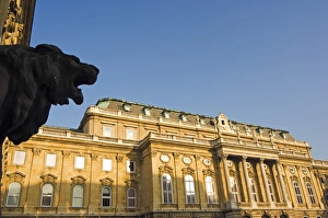 Hungarian National Gallery and Lion Statue Hungarian National Gallery and Lion Statue