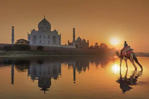 India, woman crossing the Yamuna river on a camel with the Taj Mahal reflecting in India, woman crossing the Yamuna river on a camel with the Taj Mahal reflecting in