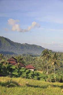 Indonesia, Bali, Sidemen Rice Terraces and Mountain Landscape Indonesia, Bali, Sidemen Rice Terraces and Mountain Landscape