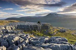 Ingleborough mountain from the limestone pavements on Twistleton Scar End, Yorkshire Ingleborough mountain from the limestone pavements on Twistleton Scar End, Yorkshire