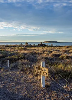 Isla de los Pajaros, Valdes Peninsula, UNESCO World Heritage Site, Chubut Province Isla de los Pajaros, Valdes Peninsula, UNESCO World Heritage Site, Chubut Province