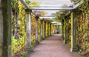 Italian style pergola in the Private Garden, Catherine Park, Pushkin (Tsarskoye Selo) Italian style pergola in the Private Garden, Catherine Park, Pushkin (Tsarskoye Selo)