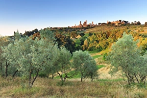 Italy, Italia. Tuscany, Toscana. Siena district, Val d'Elsa, San Gimignano Italy, Italia. Tuscany, Toscana. Siena district, Val d'Elsa, San Gimignano