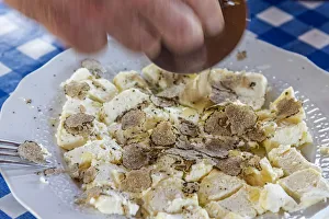 italy, Piedmont, black summer truffles over fresh cheese italy, Piedmont, black summer truffles over fresh cheese