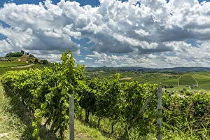 italy, Piedmont, the monferrato hills near to Costigliole D'asti with vineyards italy, Piedmont, the monferrato hills near to Costigliole D'asti with vineyards