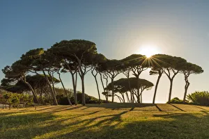 Italy, Tuscany, the beach at Golfo di Baratti at sunset Italy, Tuscany, the beach at Golfo di Baratti at sunset