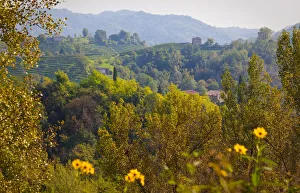 Italy, Veneto, Treviso district, Rolle locality Italy, Veneto, Treviso district, Rolle locality