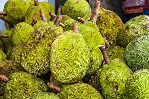 Jack Fruit at Mueang Mai Market, Chiang Mai, Northern Thailand, Thailand Jack Fruit at Mueang Mai Market, Chiang Mai, Northern Thailand, Thailand