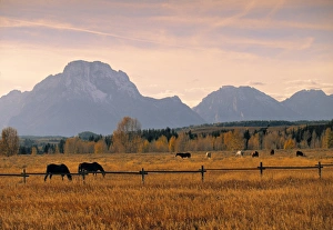 Wyoming Mountain Landscapes Prints: Jackson, Teton Range