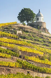 Jacobstein vineyard pavilion at Wackerbarth castle in autumn, , Radebeul, Elbe valley Jacobstein vineyard pavilion at Wackerbarth castle in autumn, , Radebeul, Elbe valley