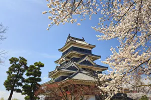 Japan, Chubu province, Matsumoto, Matsumoto Jo Castle and Cherry Trees Japan, Chubu province, Matsumoto, Matsumoto Jo Castle and Cherry Trees