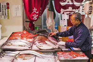 Japan, Honshu, Tokyo, Tsukiji Market, Fish Shop Display Japan, Honshu, Tokyo, Tsukiji Market, Fish Shop Display