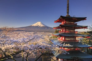 Japan, Yamanashi Prefecture, Fuji-Yoshida, Chureito Pagoda and Mt Fuji during Cherry Japan, Yamanashi Prefecture, Fuji-Yoshida, Chureito Pagoda and Mt Fuji during Cherry